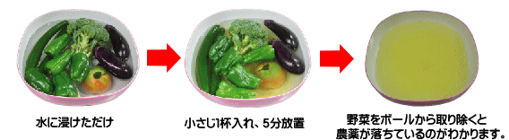野菜編の画像