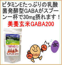 ビタミンEたっぷりの乳酸菌発酵型GABAがスプーン一杯で30mg摂れます。
