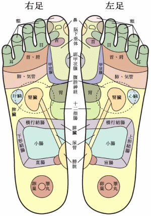 両足の「反射区」図